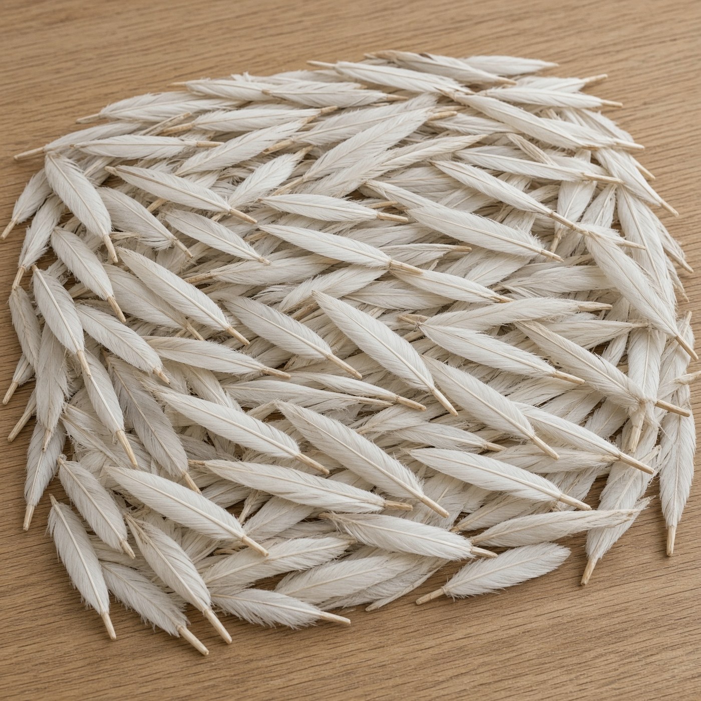 A table covered in quills.